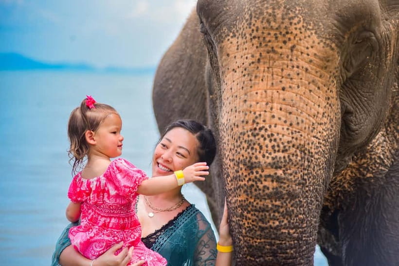 Phuket:Beach walk with elephants, rain & care. 2.5 hours - Bathing elephants beside the sea