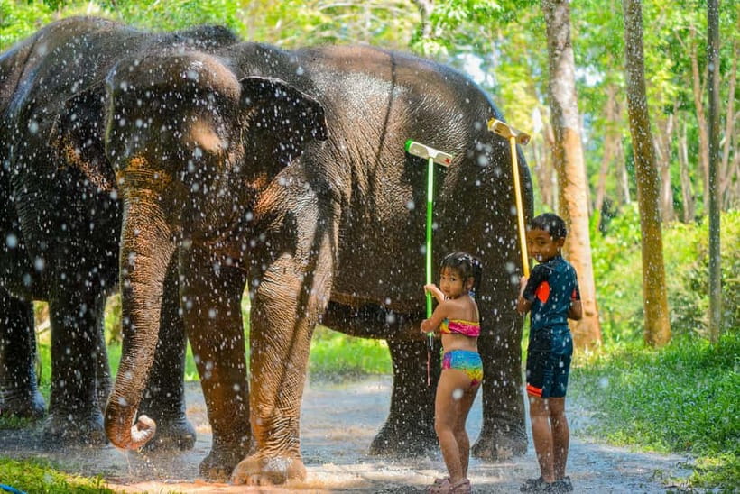 Phuket:Beach walk with elephants, rain & care. 2.5 hours - The guides, facilities, and photographs