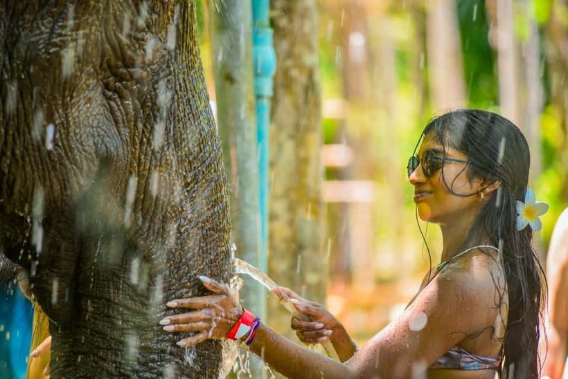 Phuket:Beach walk with elephants, rain & care. 2.5 hours - What to bring and what to expect on the day