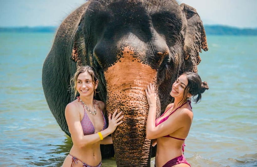 Phuket:Beach walk with elephants, rain & care. 2.5 hours - What happens during the 150-minute visit