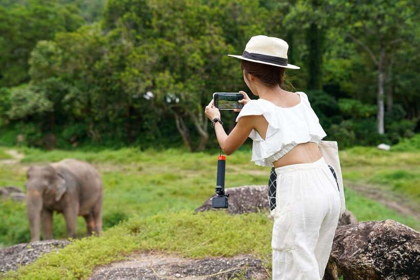 Phuket: Bukit Elephant Park Sanctuary Walk and Feed Tour - What the Day Feels Like in Practice