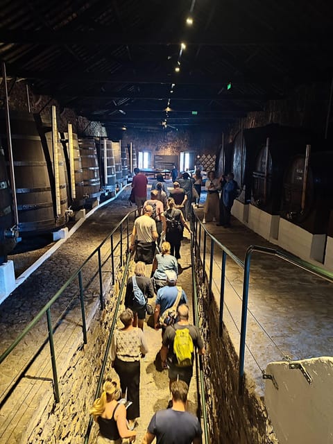 Porto: Port and Douro Wine Walking Tour with 9 Tastings - Three hours, three cellars, several different personalities