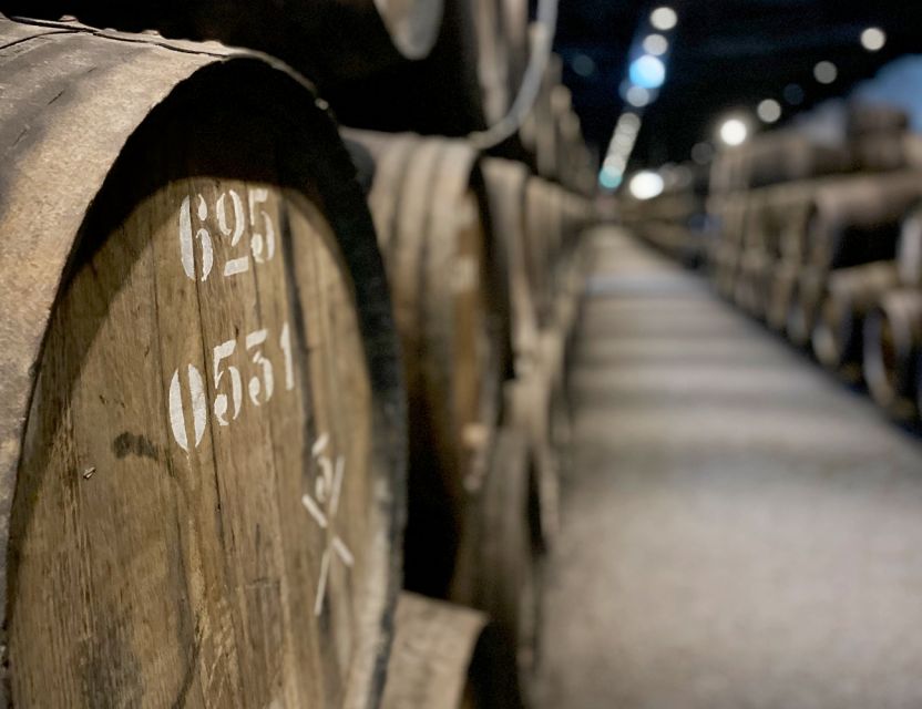 Porto: Wine Tasting with Tapas Walking Tour - Who should book this experience?