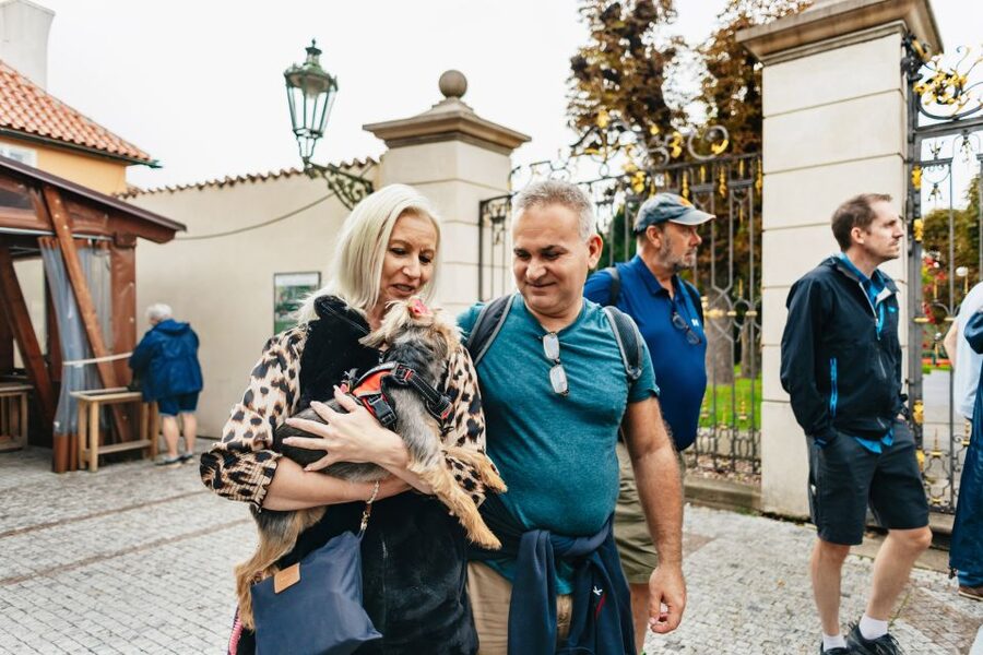 Prague: City Highlights By Bus, Boat, and on Foot - The Vltava cruise and the Charles Bridge view