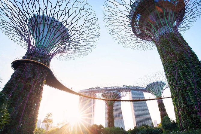 Private Customised Singapore Walking Tour - A private way to see Singapore without wasting time