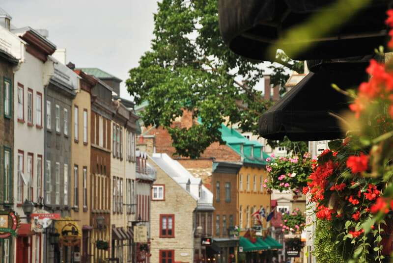 Quebec City: Old Quebec Historical Walking Tour - The guides are the main attraction
