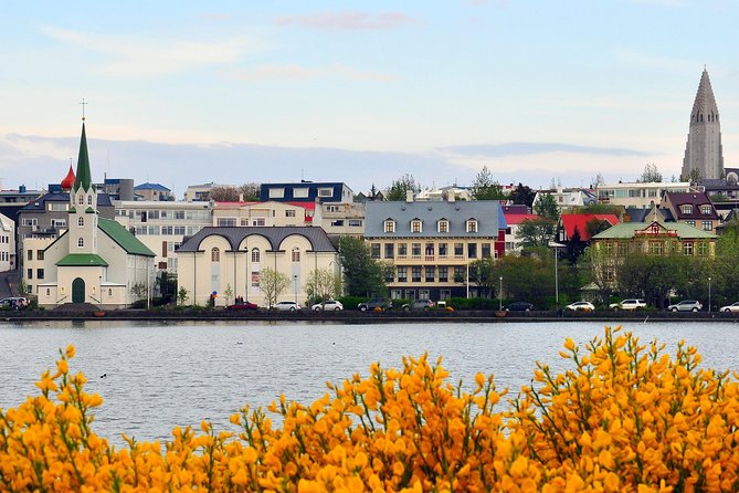 Reykjavik Walking Tour - Walk with a Viking - Laugavegur and the best use of the local advice