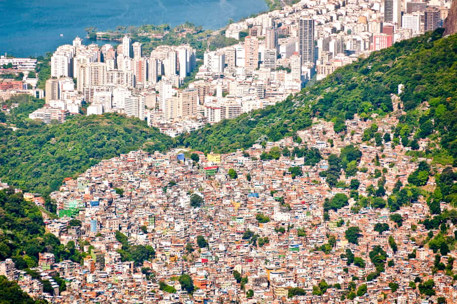 Rio De Janeiro: Half-Day Rocinha Favela Walking Tour - Meeting Wellington, Alberto, Daniel, and other local guides