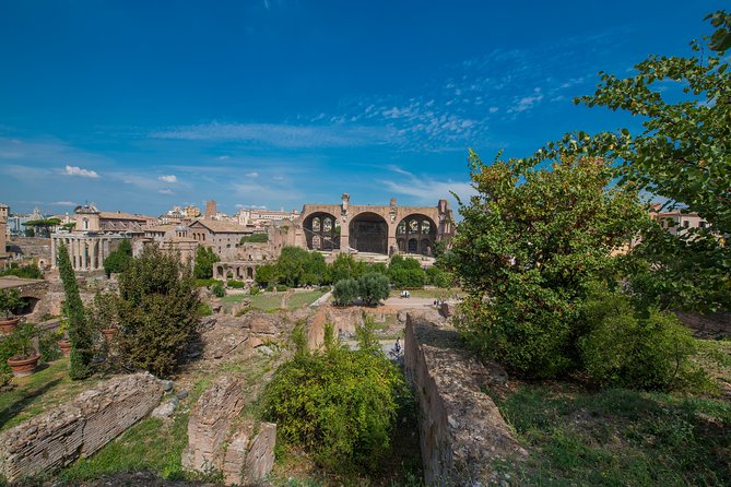 Rome: Colosseum Arena, Roman Forum & Palatine Hill Tour - How much walking should you expect?