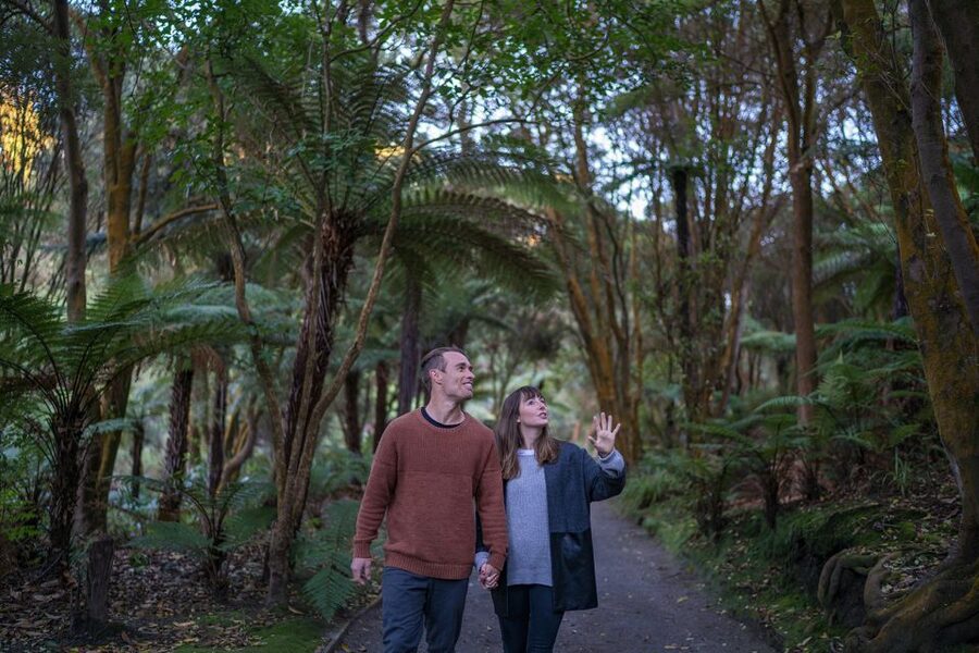 Rotorua: Hell's Gate Outdoor Mud Spa & Guided Walk - Sulphur spa, cool plunge, and Māori carving