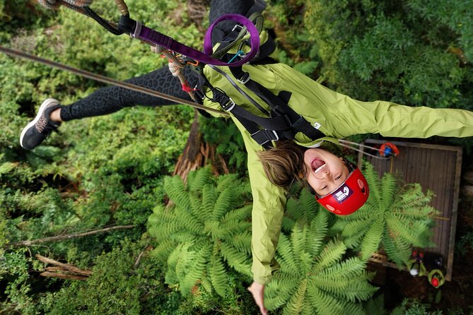 Rotorua’s Ultimate Zipline: 6 ziplines, 400 m Tandem, Cliff Walk - Six ziplines through Rotorua’s oldest forest