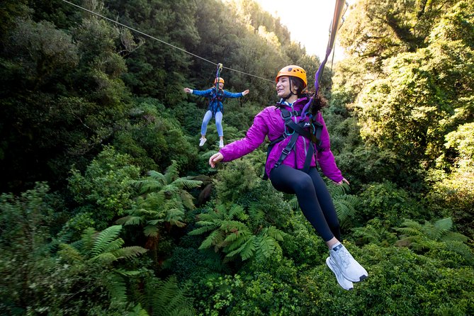 Rotorua’s Ultimate Zipline: 6 ziplines, 400 m Tandem, Cliff Walk - Why the guides matter so much