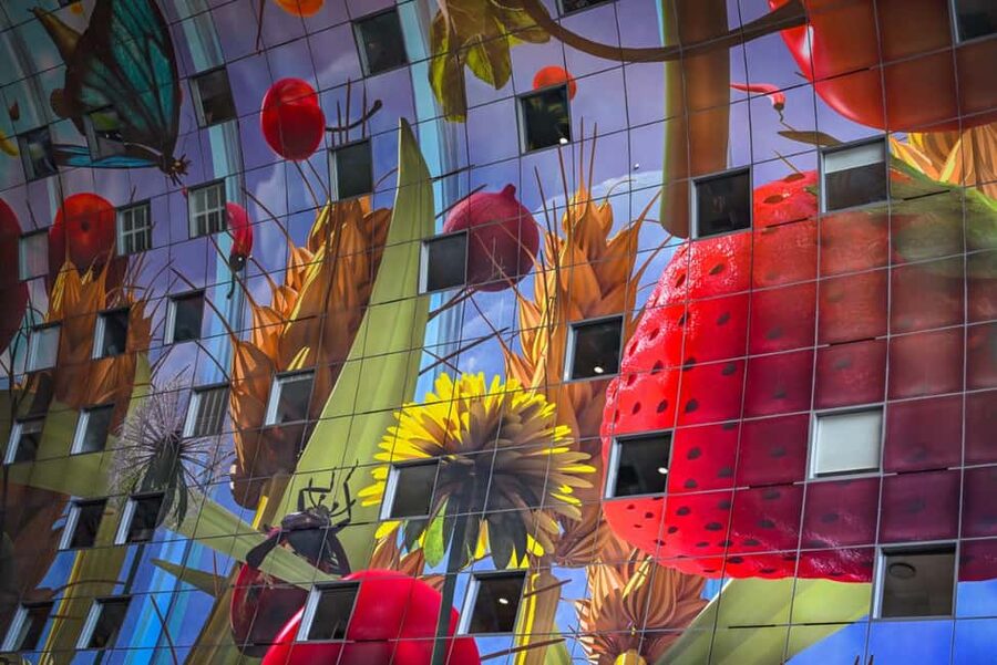 Rotterdam: Highlights, Gems, Architecture & History Walk - What Is Included for $48