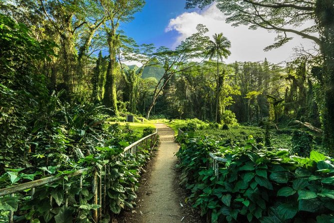 Self guided Hike Trail to Nature Walk & Waterfall - From Waikiki to Manoa Valley
