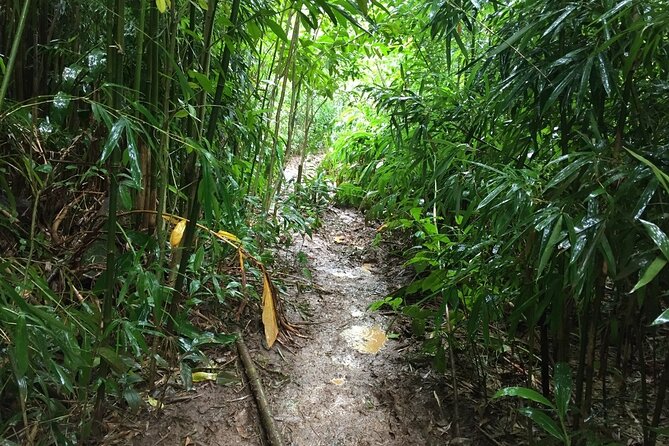 Self guided Hike Trail to Nature Walk & Waterfall - Is $79 a fair price?