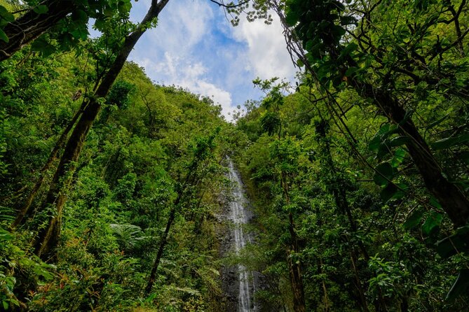 Self guided Hike Trail to Nature Walk & Waterfall - Who will enjoy this outing most?