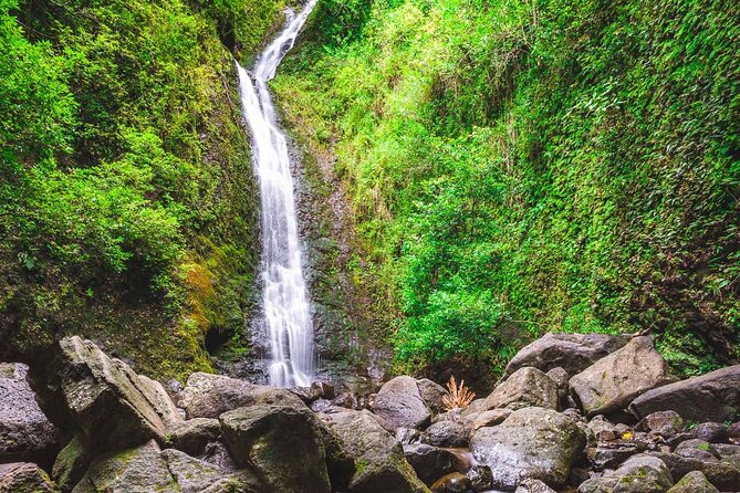 Self guided Hike Trail to Nature Walk & Waterfall - What makes Manoa Falls special
