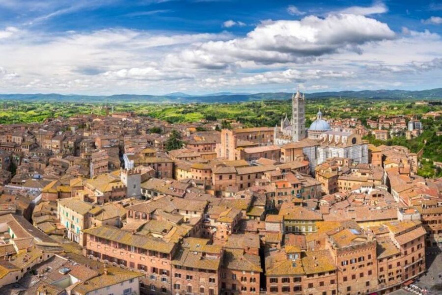 Siena: 3h Private City Walking Tour with Optional Cathedral - Piazza del Campo and the machinery of the Palio