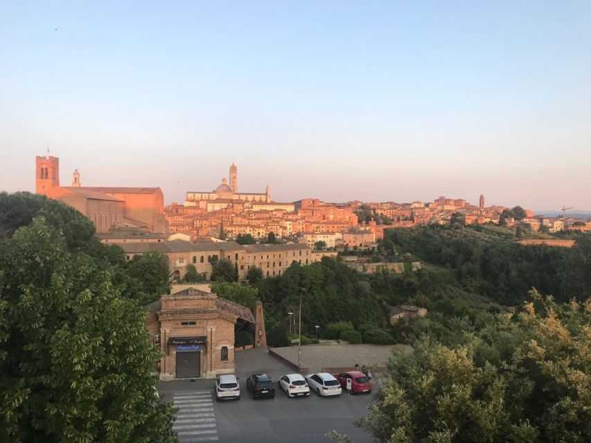 Siena: 3h Private City Walking Tour with Optional Cathedral - Booking details worth knowing
