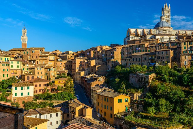 Skip the Line: Siena Duomo and City Walking Tour - Basilica San Domenico and Saint Catherine