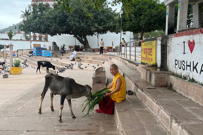 Spiritual City Walking Tour-THE Pushkar Route - Chai, malpua, and a rooftop pause