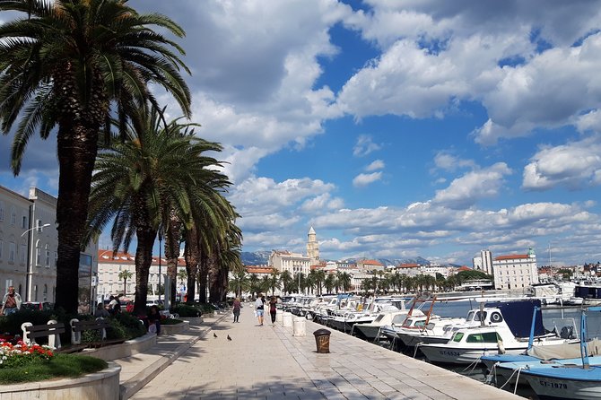 SPLIT-PRIVATE Walking Tour of Diocletian's Palace & Old Town - Key points at a glance