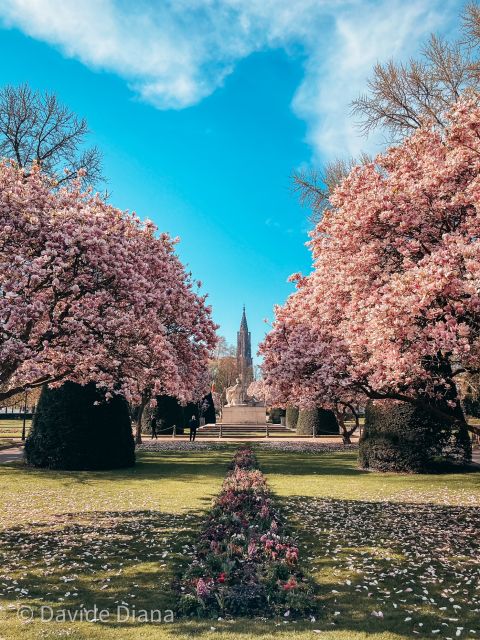 Strasbourg: Guided Historical Neighborhoods Walking Tour - Why this Strasbourg walk works so well