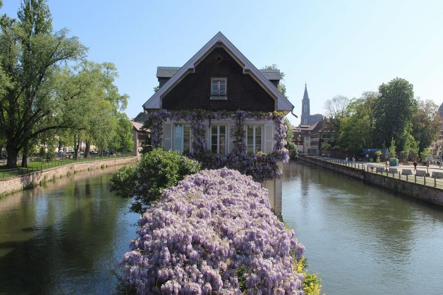Strasbourg: Walking Tour with Local Guide - Petite France, where the city feels most picturesque