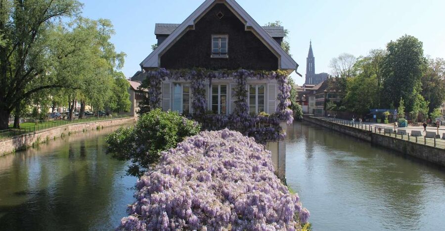 Strasbourg: Walking Tour with Local Guide - Starting at Place d’Austerlitz and reaching the covered bridges