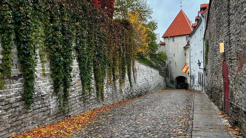 Tallinn: Guided Old Town Historical Walking Tour - Storytelling that helps you explore on your own