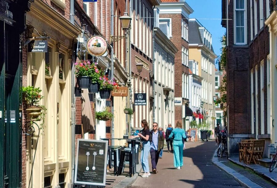 The Hague: City Walking Tour - Finishing at Noordeinde Palace