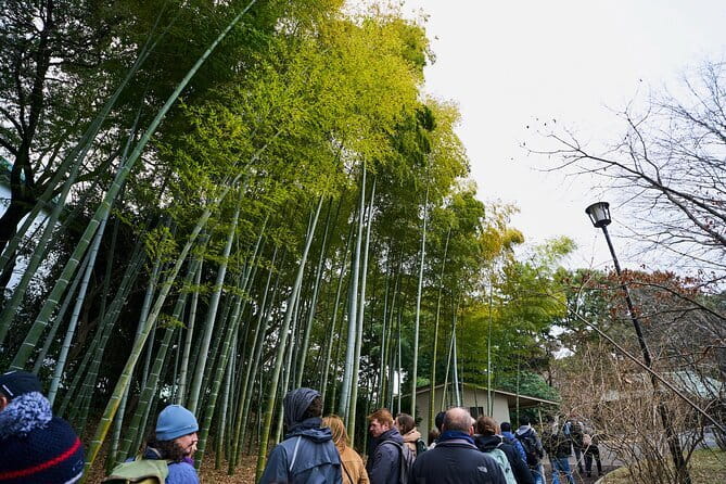 Tokyo Castle & Imperial PalaceーShogun Walking Tour - Why Edo Castle makes a good introduction to Tokyo