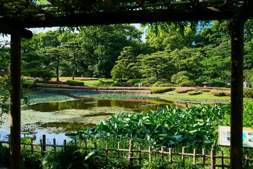 Tokyo Castle & Imperial PalaceーShogun Walking Tour - How much value do you get for $23?
