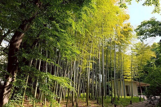 Tokyo: Imperial Palace and Shogun Historical Walking Tour - Key points to know before you book