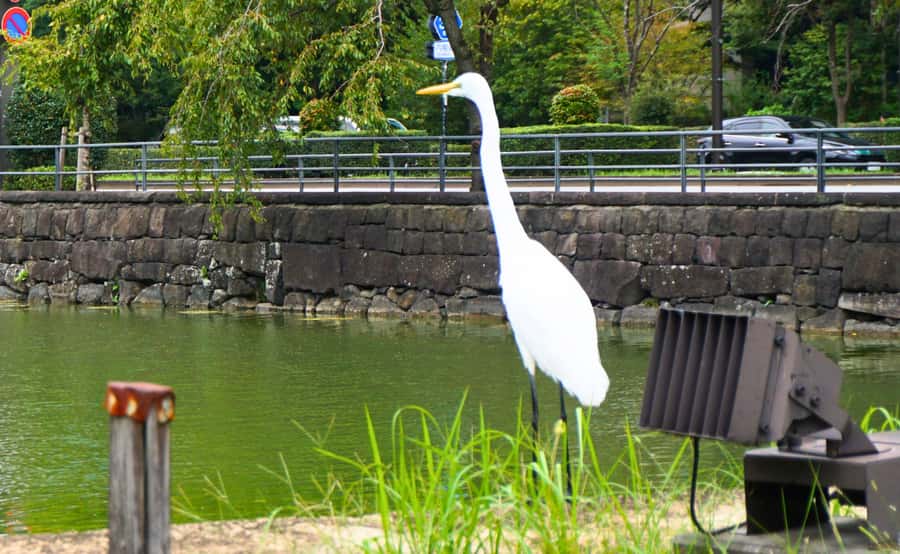 Tokyo: Imperial Palace Japanese History Walking Tour - Stone walls, old houses, and a miniature castle