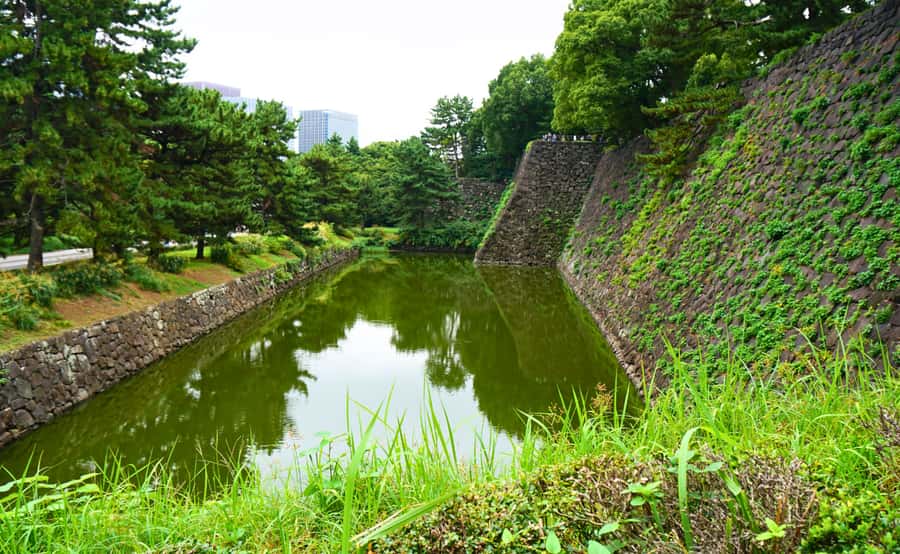 Tokyo: Imperial Palace Japanese History Walking Tour - What the $32 price gives you