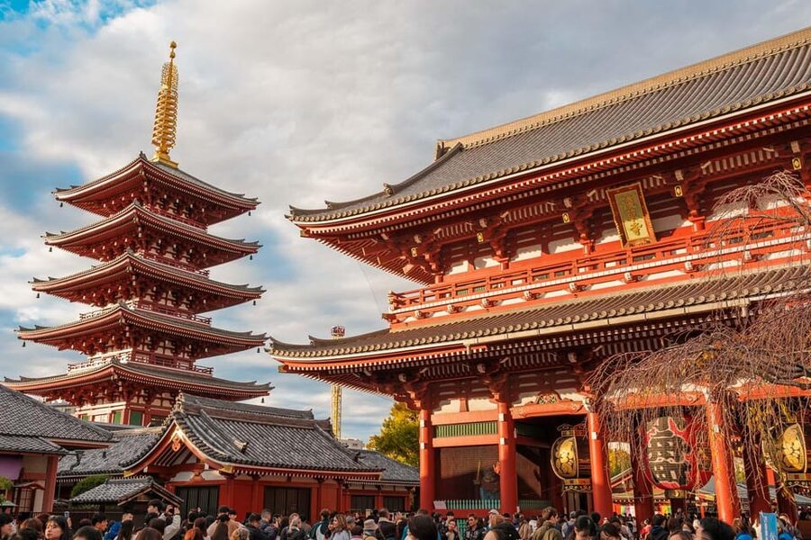 Tokyo: Private Walking Tour with a Local Guide - Why a private Tokyo tour can save your first day