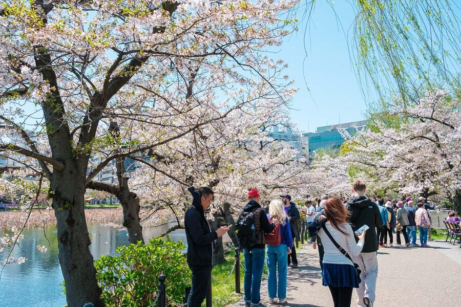 Tokyo: Private Walking Tour with a Local Guide - Shibuya Crossing: famous, brief, and easy to overrate