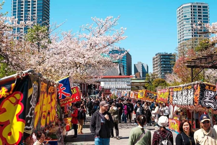 Tokyo: Private Walking Tour with a Local Guide - Harajuku and Meiji Shrine: a strong old-and-new pairing