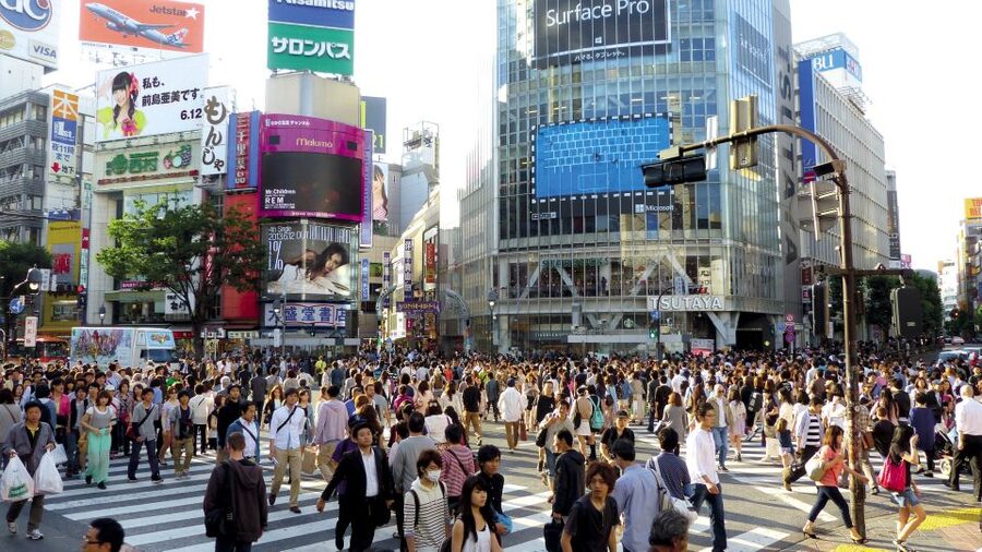 Tokyo: Private Walking Tour with a Local - Choosing your route from temples to Tokyo towers