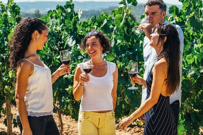 Toledo Tour & Vineyard Walk with Wine Tasting from Madrid - Walking through Toledo’s old city and Jewish Quarter