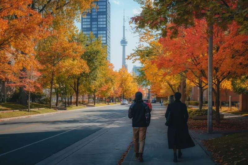 Toronto: City Highlights Walking Tour | 3-Hour - Final verdict: a smart first morning in Toronto