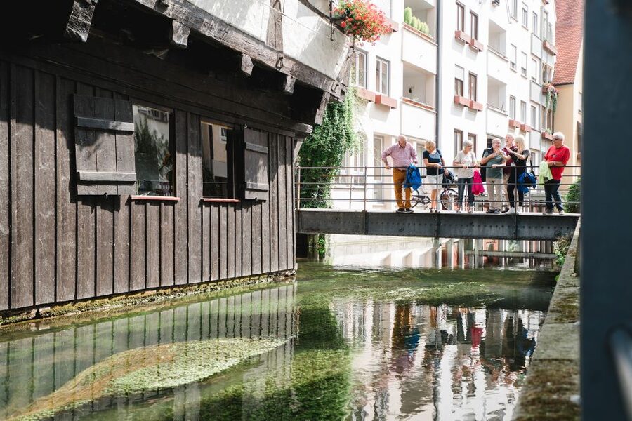 Ulm: City Center Walking Tour with Minster Visit - The guide’s style and what the ratings suggest