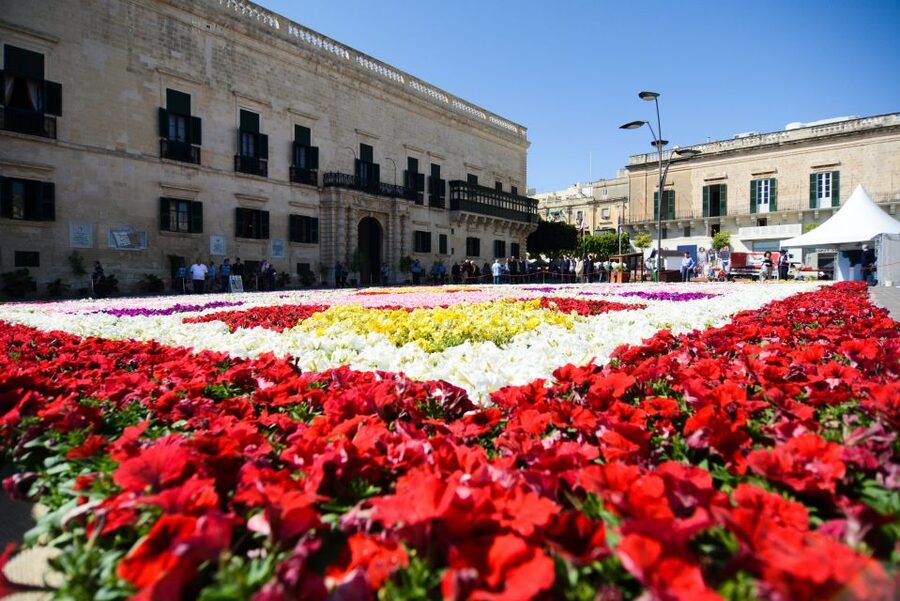Valletta: Street Food and Culture Walking Tour - Pastizzi: Malta’s crisp, savory introduction