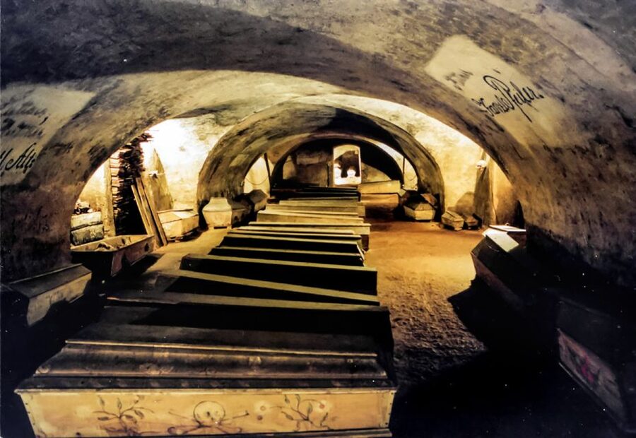 Vienna: 1.5-Hour Underground Walking Tour - Why Vienna’s underground tells a different story