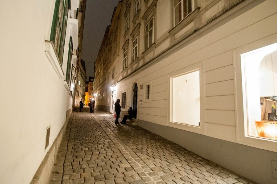 Vienna: Ghosts and Legends Guided Nighttime Walking Tour - Vienna’s vampires, witches, and Count Dracula