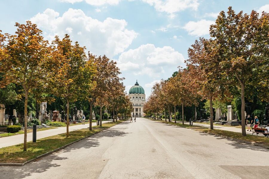 Vienna: Vienna Central Cemetery Guided Walking Tour - Weather, walking, and practical comfort