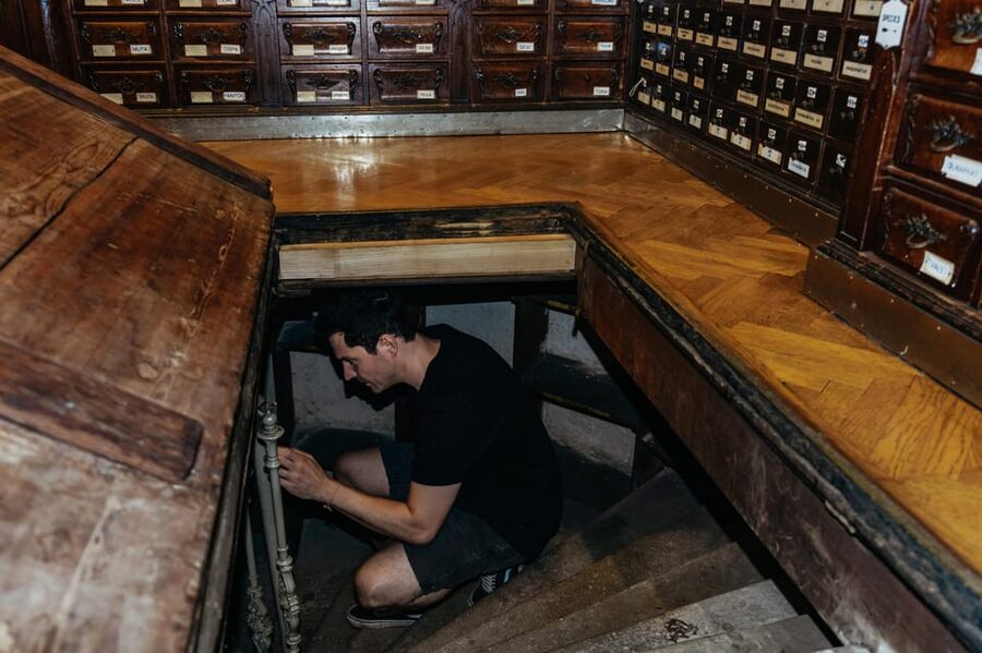 Vienna: Viennese Underworld Guided Walking Tour - Key points to know before you go