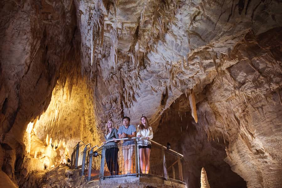 Waitomo Caves: Ruakuri Glowworm Cave Guided Walking Tour - Who should book the Ruakuri walking tour?
