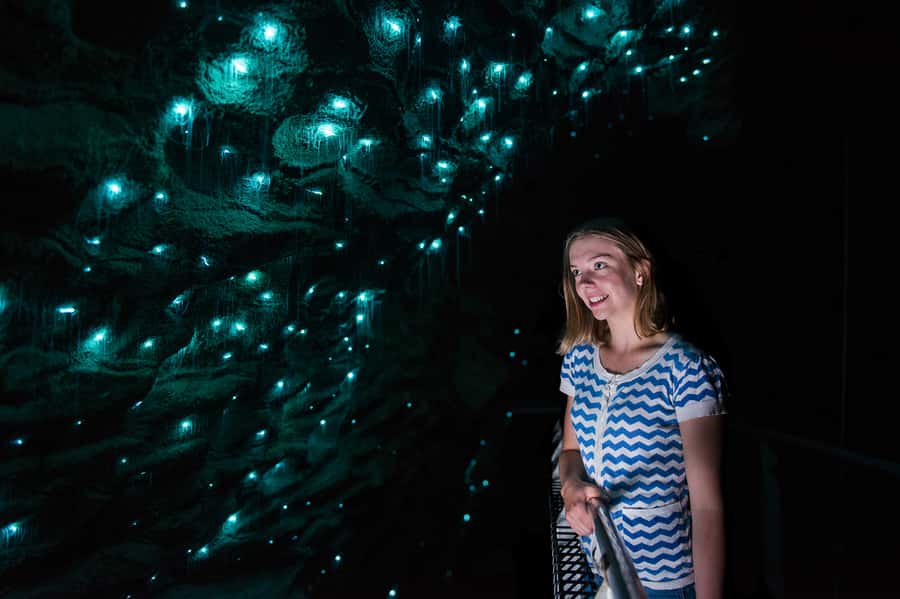 Waitomo Caves: Ruakuri Glowworm Cave Guided Walking Tour - Why Ruakuri Cave feels different from a quick glowworm stop